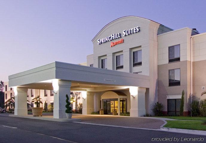Springhill Suites By Marriott Voorhees Mt. Laurel/Cherry Hill Kültér fotó